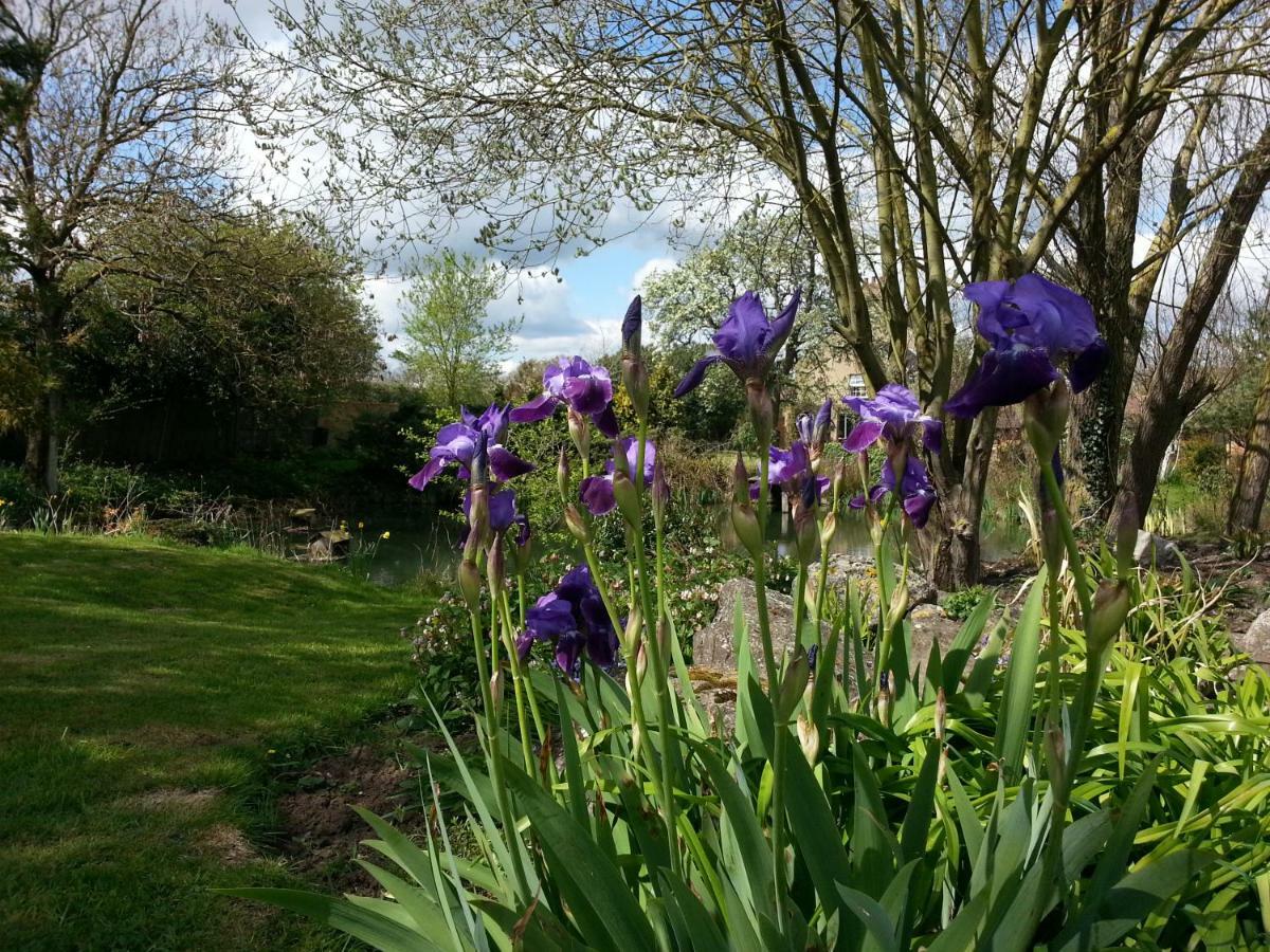 Bed and Breakfast Upper Wood End Farm Marston Moreteyne Esterno foto