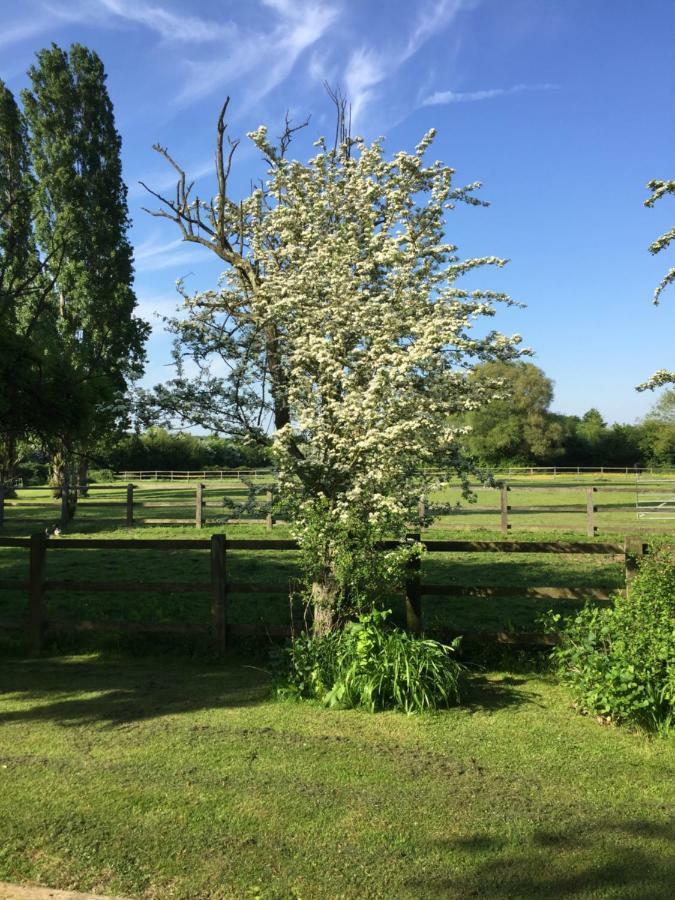 Bed and Breakfast Upper Wood End Farm Marston Moreteyne Esterno foto